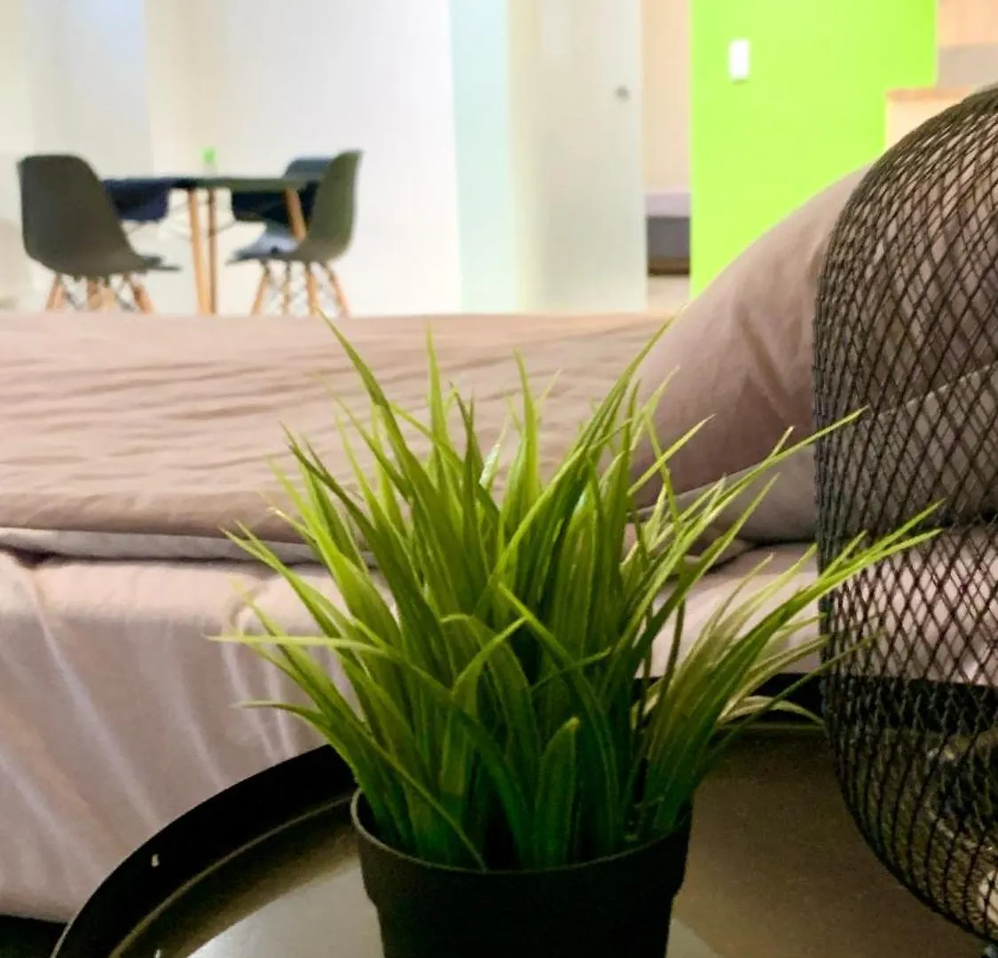 Centrally Located Apartment Vienna Included Netflix Austria